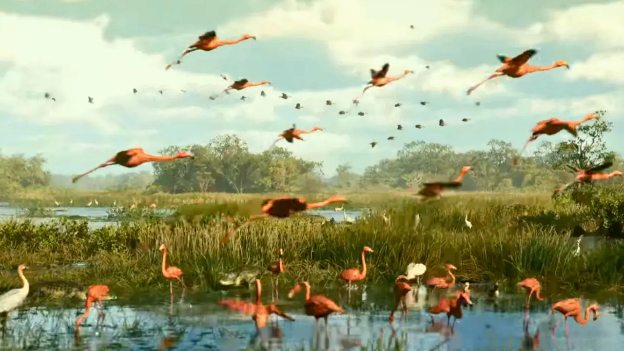 Everglades in GTA 6 GTA 6 Guru